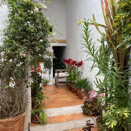 Casa Dulce Vakantiehuis Vejer de la Frontera